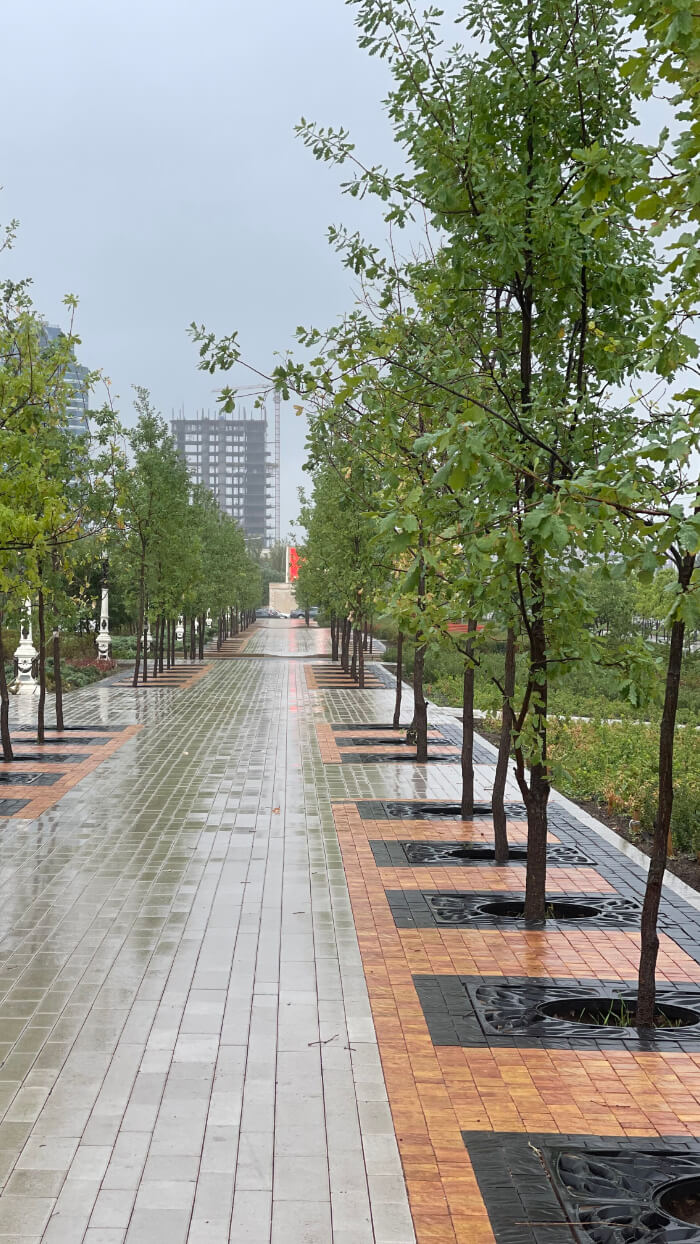 Приствольная решетка для дерева ZKING CRUST 1.2х1.2м Черная в Шахтах фото