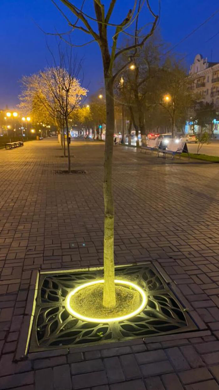 Приствольная решетка для дерева ZKING CRUST 1.2х1.2м Черная в Шахтах фото